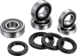 FACTORY LINKS Wheel Bearing Kit - Front/Rear - Suzuki DR-Z 400/S/SM KWK-S-003