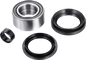 FACTORY LINKS Wheel Bearing Kit - Front Left/Right - '05-'14 TRX500/'06-'23 TRX680 AFW-H-016