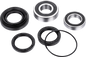 FACTORY LINKS Wheel Bearing Kit - Rear - Honda TRX420/500/520 ARA-H-019