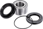 FACTORY LINKS Wheel Bearing Kit - Rear - '07-'13 Honda TRX420 ARA-H-020