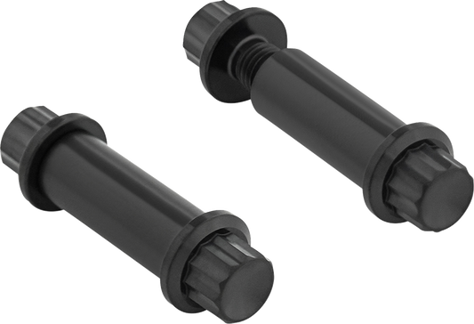 ARLEN NESS Bolt Kit - Footpeg - 12-Point - Titanium - Black 300-801