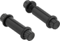ARLEN NESS Bolt Kit - Footpeg - 12-Point - Titanium - Black 300-801