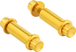 ARLEN NESS Bolt Kit - Footpeg - 12-Point - Titanium - Gold 300-802