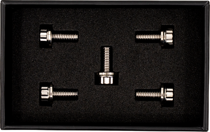 TRASK Bitchin' Bolts Hardware Kit - Titanium - M8 - Derby Cover TM-1050-A