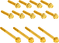 ARLEN NESS Bolt Kit - Primary Cover - Titanium - 12-Point - Twin Cam - Gold 300-991