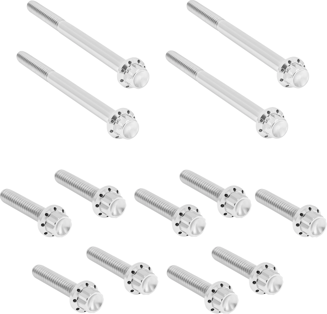 ARLEN NESS Bolt Kit - Primary Cover - Titanium - 12-Point - Softail - Polished 300-929
