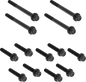 ARLEN NESS Bolt Kit - Primary Cover - Titanium - 12-Point - Softail - Black 300-930