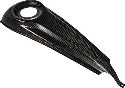 SADDLEMEN Dash Panel - Center Fill - Carbon Fiber/Gloss CF-808-07-001