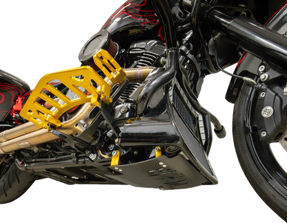 THRASHIN SUPPLY CO. Skid Plate - Carbon Fiber/Gloss - With Gold Brackets - FLHX/FLTRX TSC-3034-5