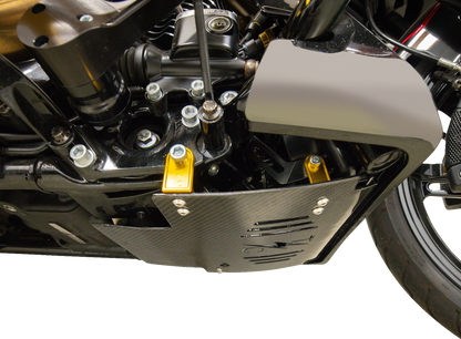 THRASHIN SUPPLY CO. Skid Plate - Carbon Fiber/Gloss - With Gold Brackets - FLHX/FLTRX TSC-3034-5