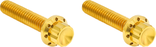 ARLEN NESS Bolt Kit - Hydraulic Clutch - Titanium - 12-Point - M8/Twin Cam - Gold 300-708