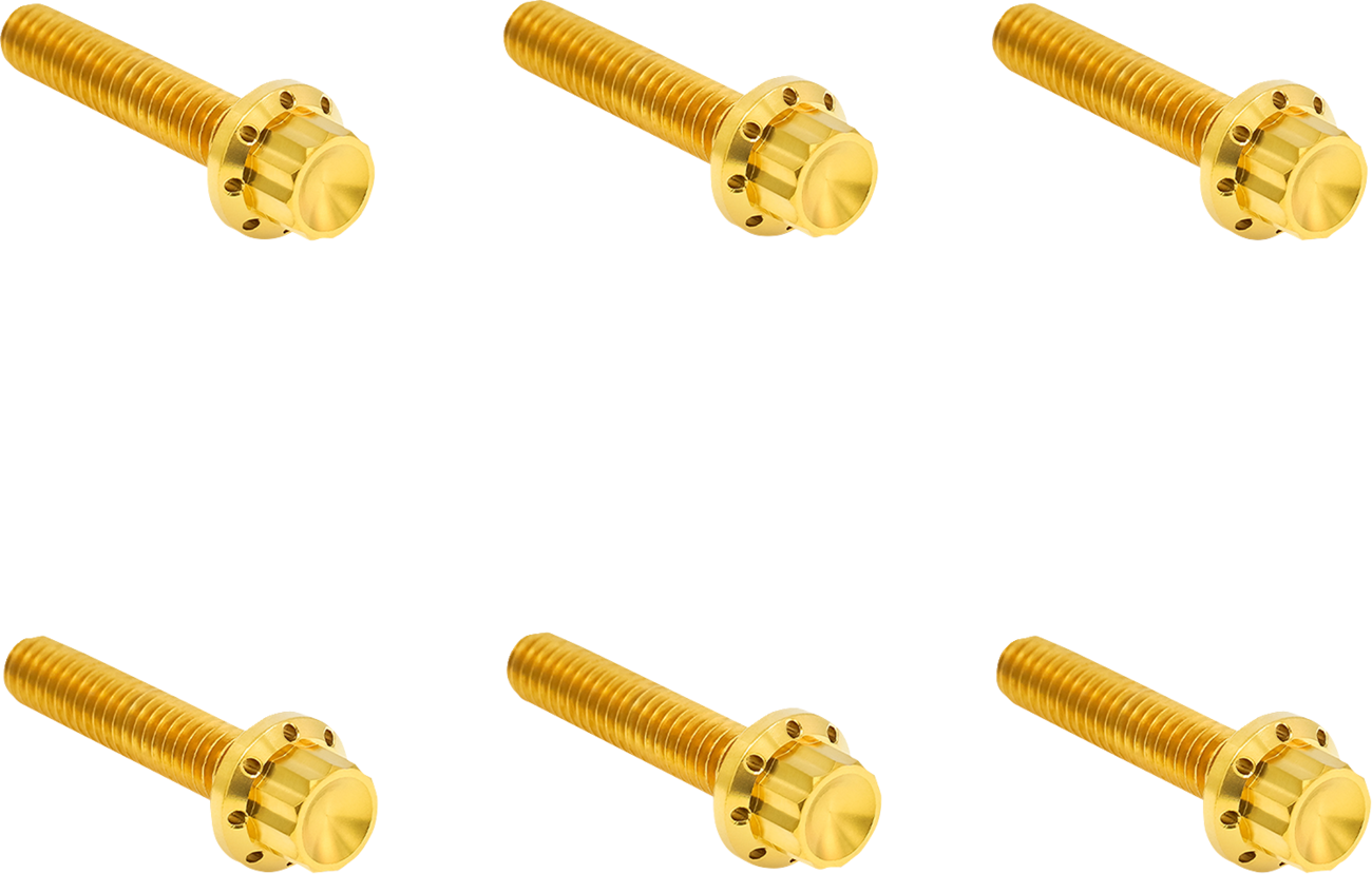ARLEN NESS Bolt Kit - Clutch Cover - Titanium - 12-Point - M8 Gen 2 - Gold 300-702