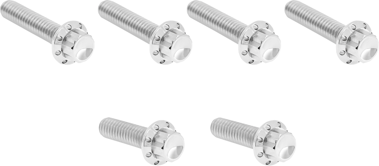 ARLEN NESS Bolt Kit - Cable Clutch - Titanium - 12-Point - M8/Twin Cam - Polished 300-703
