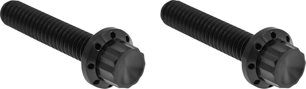 ARLEN NESS Bolt Kit - Hydraulic Clutch - Titanium - 12-Point - M8/Twin Cam - Black 300-707