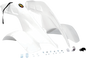 MAIER Front Fender - White - TRX250R 117201