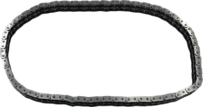 S&S CYCLE Primary Chain - '07-'25 Touring 560-0447