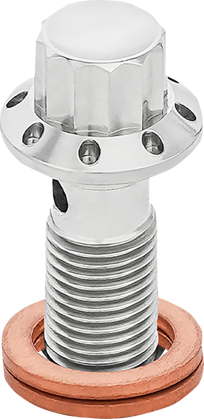 ARLEN NESS Banjo Bolt - 3/8"-24 - Polished 300-824