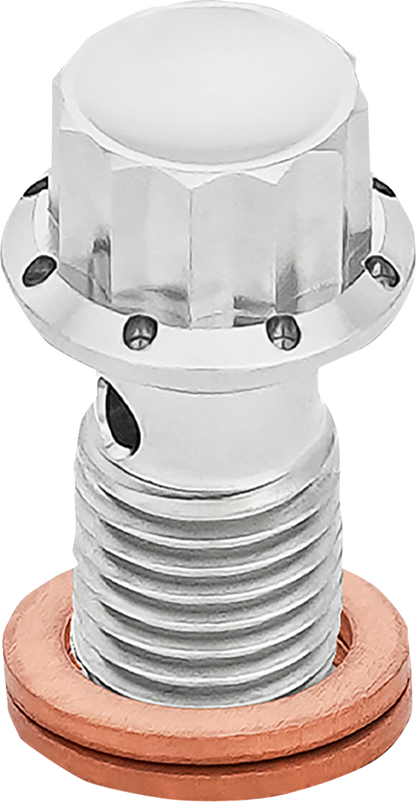 ARLEN NESS Banjo Bolt - M12x1.25 - Polished 300-833