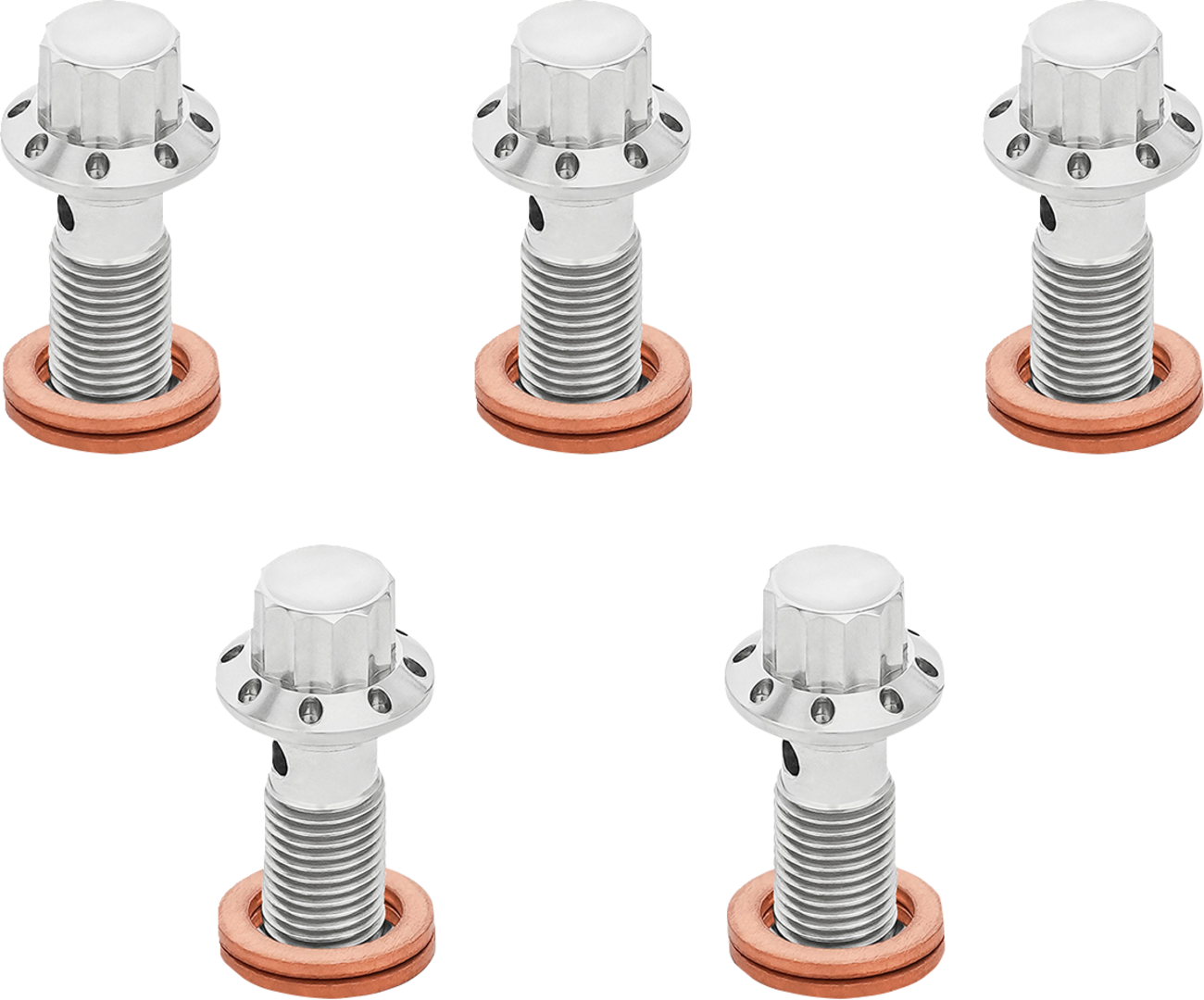 ARLEN NESS Banjo Bolt 5-Pack - M10x1.0 - Polished 300-857