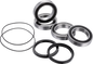 FACTORY LINKS Axle Bearing Kit - Rear - Suzuki ARA-S-005