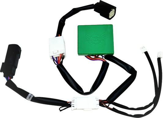 CUSTOM DYNAMICS SMART Triple Play® Module - Harley-Davidson® CD-STP-23TP