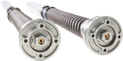 OHLINS FKR 202 Fork Cartridge Kit - High-Performance MotoGP-Inspired Suspension Upgrade