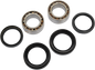 PIVOT WORKS Wheel Bearing Kit - Front - TRX300FW PWFWK-H20-003