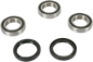 PIVOT WORKS Wheel Bearing Kit - Rear - Yamaha YZ 250/450F PWRWK-Y09-421