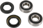 PIVOT WORKS Wheel Bearing Kit - Front - Honda/Triumph PWFWS-H07-000
