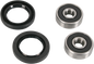 PIVOT WORKS Wheel Bearing Kit - Front - Honda/Yamaha PWFWS-H09-000