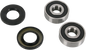PIVOT WORKS Wheel Bearing Kit - Front - '95-'05 Vulcan 800 PWFWS-K07-000