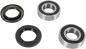 PIVOT WORKS Wheel Bearing Kit - Front - BMW/Indian/Suzuki PWFWS-S05-000
