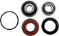 PIVOT WORKS Wheel Bearing Kit - Rear - Honda CMX 250 PWRWS-H02-000
