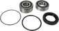 PIVOT WORKS Wheel Bearing Kit - Rear - Honda 1100/1500 PWRWS-H12-000