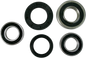 PIVOT WORKS Wheel Bearing Kit - Rear - Suzuki PWRWS-S05-000