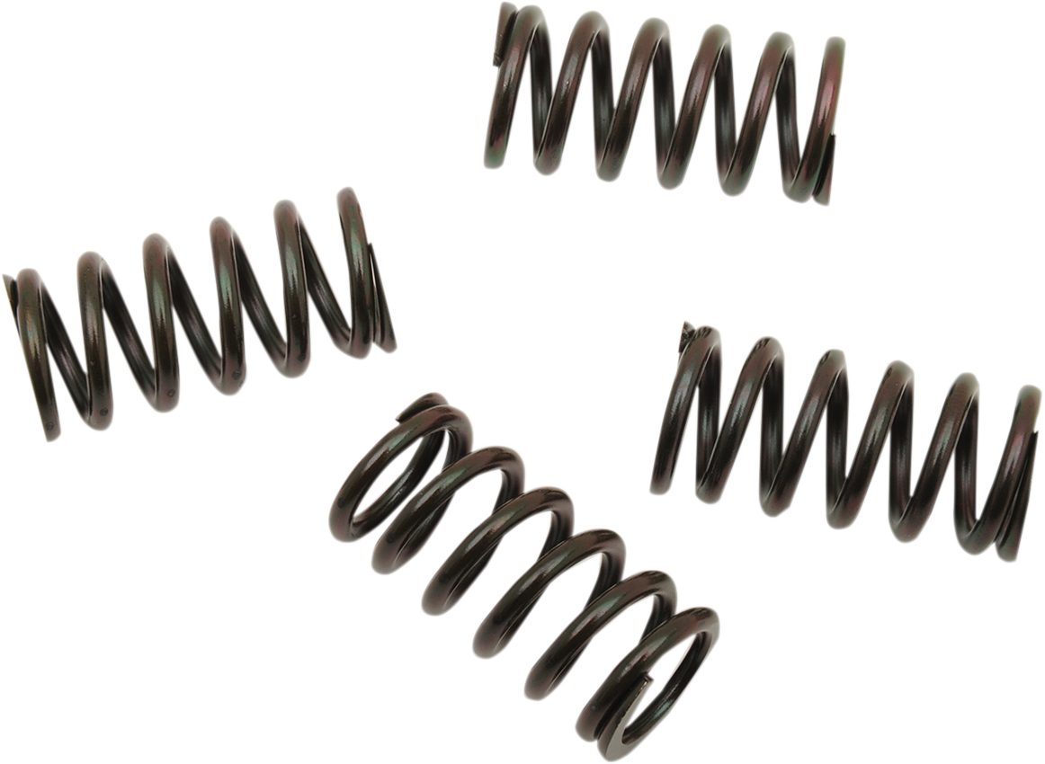 BARNETT Clutch Spring Set - Honda 501-85-04120
