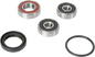 PIVOT WORKS Wheel Bearing Kit - Rear - Yamaha PWRWK-Y28-001