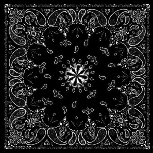 Bobster Premium 100% Cotton Black Paisley Bandanna - 22 x 22 inches