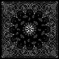 Bobster Premium 100% Cotton Black Paisley Bandanna - 22 x 22 inches