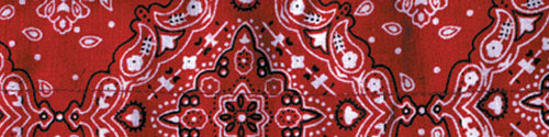 Bobster DC106 Cooldanna 100% Cotton Red Paisley