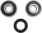PIVOT WORKS Wheel Bearing Kit - Rear - '74-'78 Honda CR/MR/TLR PWRWK-H50-521