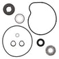 Vertex Water Pump Rebuild Kit (Part Number 821852)