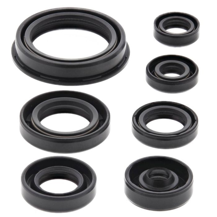 Vertex Engine Oil Seal Kit (Part Number 822690)