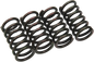 BARNETT Clutch Springs - Honda/Suzuki 501-87-04009