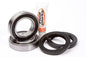 PIVOT WORKS REAR WHEEL BEARING KIT SUZUKI ATV