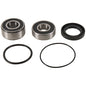 PIVOT WORKS REAR WHEEL AND SEAL KIT HONDA STREET BIKE