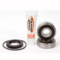 PIVOT WORKS REAR WHEEL AND SEAL KIT HONDA STREET BIKE