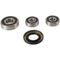 PIVOT WORKS REAR WHEEL AND SEAL KIT SUZUKI STREET BIKE