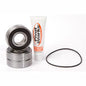 PIVOT WORKS REAR WHEEL AND SEAL KIT SUZUKI STREET BIKE