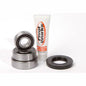PIVOT WORKS REAR WHEEL AND SEAL KIT SUZUKI STREET BIKE